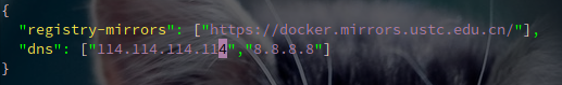 20200305-docker-dns-config.png